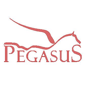 welkom bij Projectontwikkeling Pegasus Delft B.V.